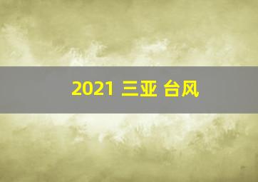 2021 三亚 台风